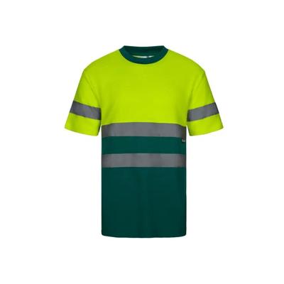 Imagen del producto CAMISETA ALGODON BI MC AV 305613
