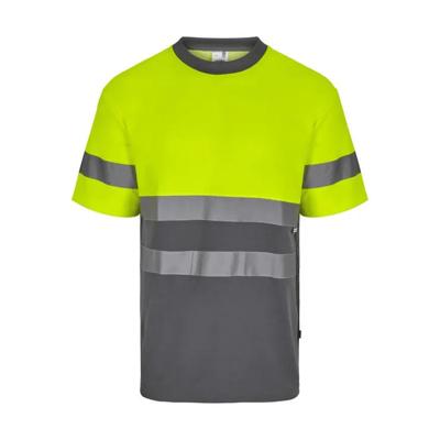 Imagen del producto CAMISETA ALGODON BI MC AV 305613