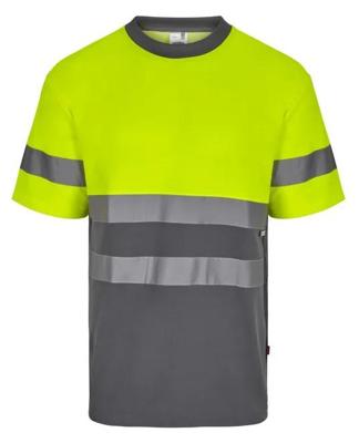 Imagen del producto CAMISETA ALGODON BI MC AV 305613