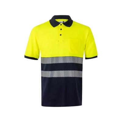 Imagen del producto POLO ALGODÓN BICOLOR MC RS 305523