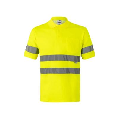 Imagen del producto POLO MC ALGODON 305512