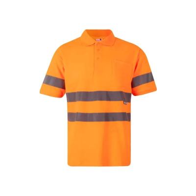 Imagen del producto POLO MC ALGODON 305512