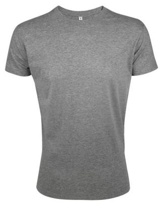 Imagen del producto CAMISETA MC  REGENT FIT