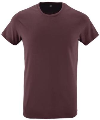 Imagen del producto CAMISETA MC  REGENT FIT