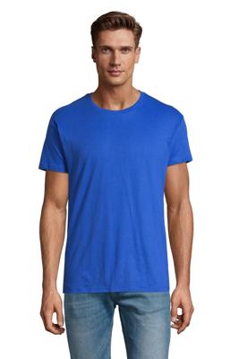Imagen del producto CAMISETA MC REGENT