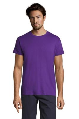 Imagen del producto CAMISETA MC REGENT