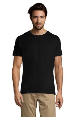Imagen del producto CAMISETA MC REGENT