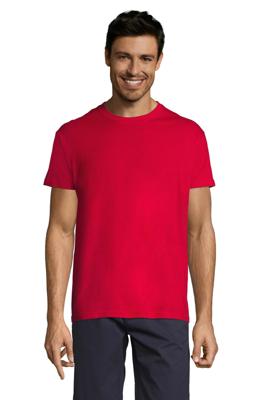 Imagen del producto CAMISETA MC REGENT
