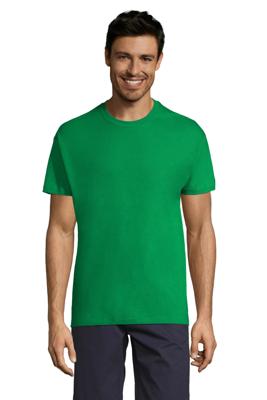 Imagen del producto CAMISETA MC REGENT