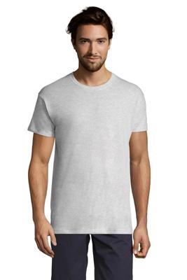 Imagen del producto CAMISETA MC REGENT