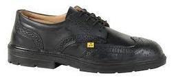 Imagen del producto ZAPATO GOLDEN ESD S1 FO SR