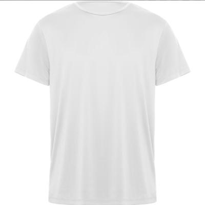 Imagen del producto CAMISETA DAYTONA NIÑO 0420 100%POL