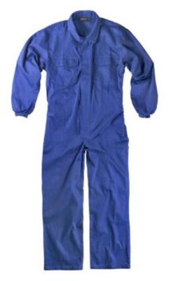 Imagen del producto BUZO ALGODON B5200
