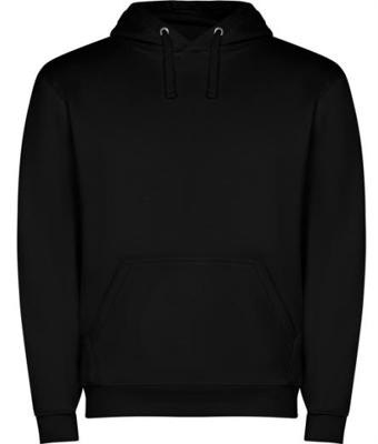 Imagen del producto SUDADERA CAPUCHA 1087