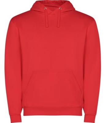 Imagen del producto SUDADERA CAPUCHA 1087