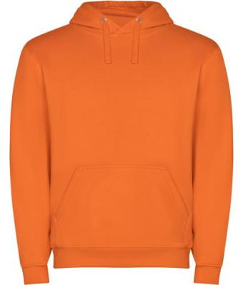 Imagen del producto SUDADERA CAPUCHA 1087