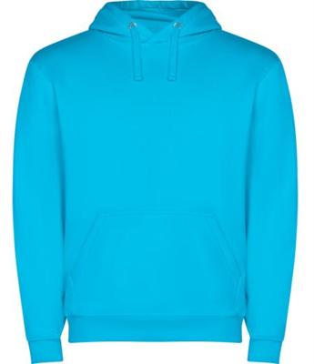 Imagen del producto SUDADERA CAPUCHA 1087