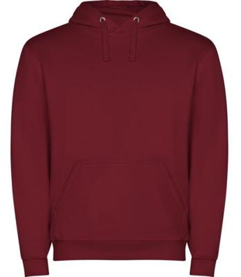 Imagen del producto SUDADERA CAPUCHA 1087