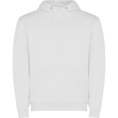 Imagen del producto SUDADERA CAPUCHA 1087