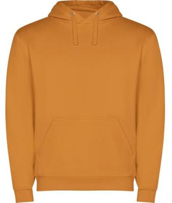 Imagen del producto SUDADERA CAPUCHA 1087