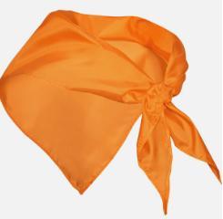 Imagen del producto FESTERO 9003 NARANJA