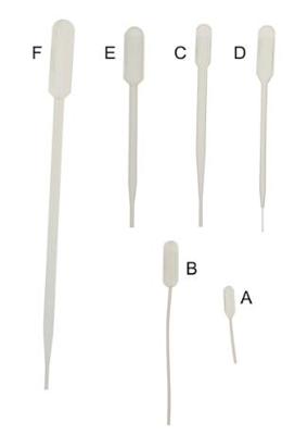 Imagen del producto PIPETA (500 UDS) PASTEUR S/GRADUAR 5ML