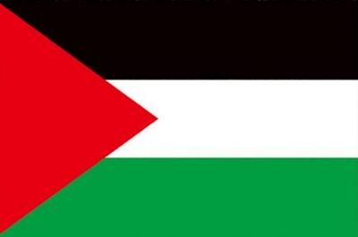 Imagen del producto BANDERA PALESTINA HORIZONTAL 150X225 CM. ECOFIX