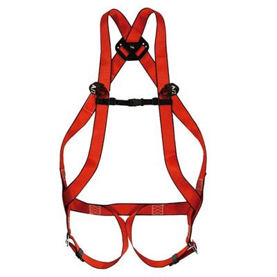 Imagen del producto ARNES 10 BASIC PLUS